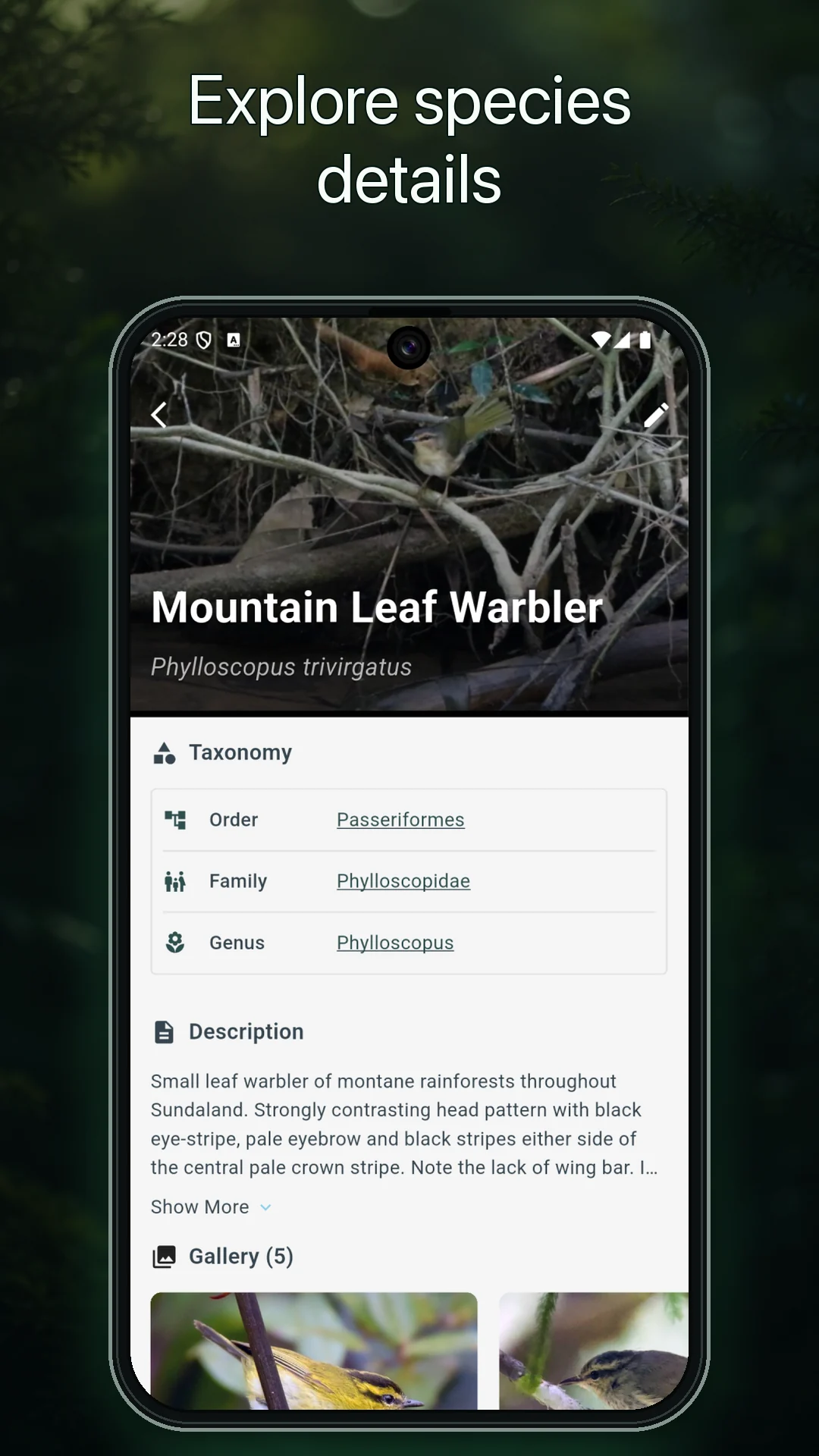 BirdLens screenshot 2