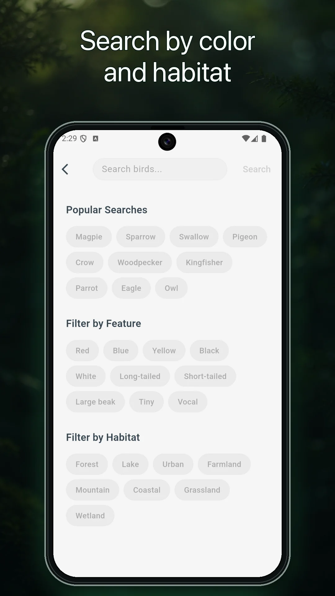 BirdLens screenshot 3